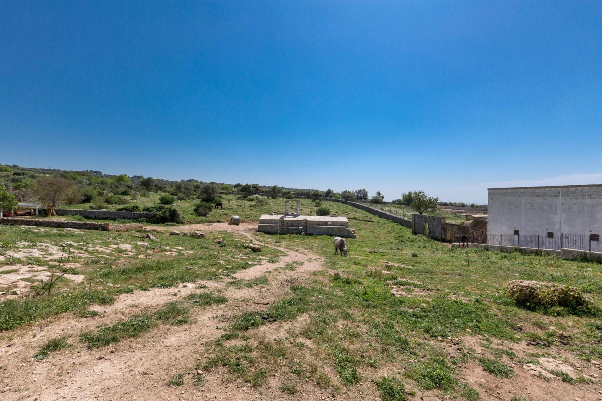 Vila Agriturismo Donna Teresa Mottola Exteriér fotografie